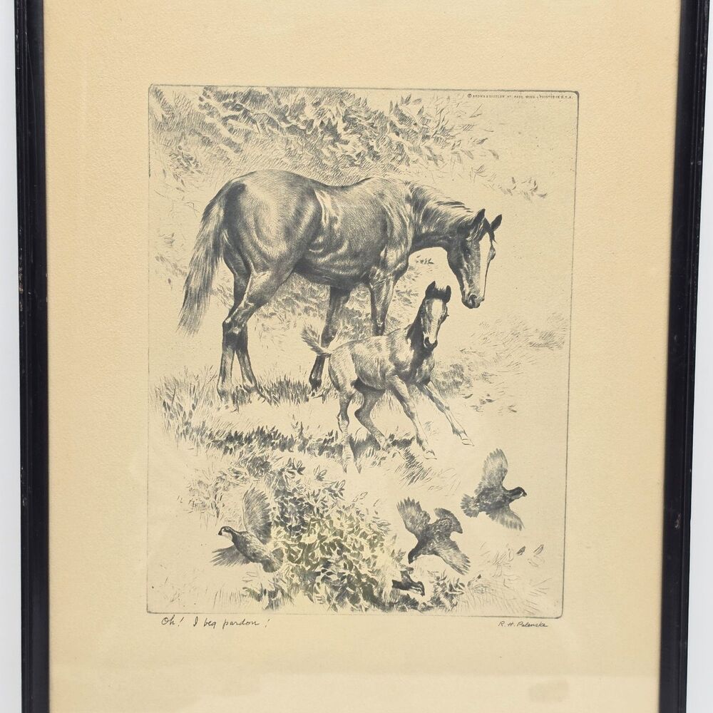 R. H. Palenske Horse With Foal Etching Equestrian Art Print 'Oh! I beg pardon!'